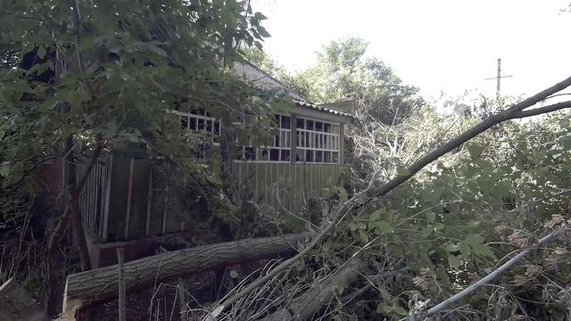 Пример съёмки GitUp Git2 со стабилизатором HORIZON HG3 смотреть онлайн