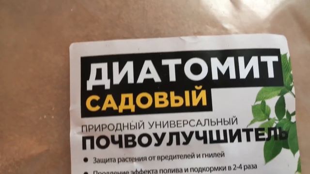 Что необходимо для здоровой крепкой рассады смотреть онлайн