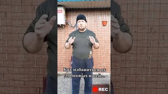 КАК ИЗБАВИТЬСЯ ОТ ЛОБКОВЫХ ВШЕЙ/ТИК ТОК ПРИКОЛЫ/ЛУЧШИЕ СМЕШНЫЕ ВИДЕО ИЗ ТИК смотреть онлайн