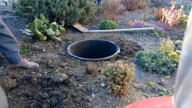 Мини прудик из строительного тазика своими руками. От и до. смотреть онлайн