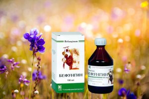 Бефунгин натуральное копеечное средство из аптеки