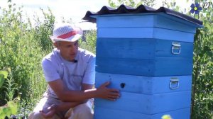 Интересная особенность Карники