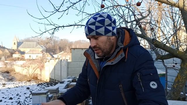 Проблема зимовки пчел на плёнке. Верхнее утепление улья период морозов зимой пленкой или фольгоизо смотреть онлайн
