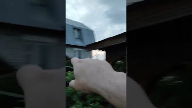 Папа кот и котята бравые ребята😻 смотреть онлайн