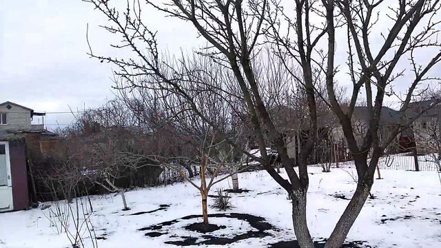 ужасы нашей дачи смотреть онлайн