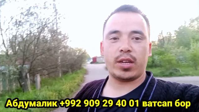 туй учун фойдали видео 👍👍 смотреть онлайн