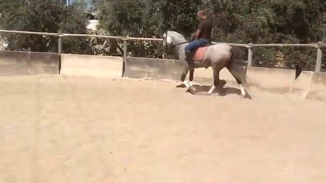 Андалуз хобби класса смотреть онлайн