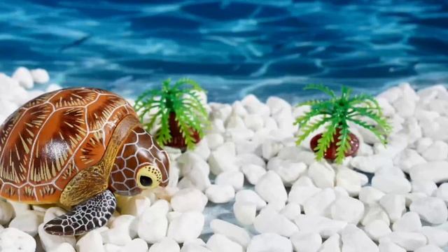 Toy Share | Animal Planet Marine Life S4 Blind Box смотреть онлайн