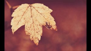 Игорь Тальков ( Осенний дым ) Неизданное