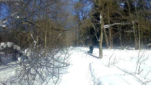 Испытание мотособаки в полевых условиях 2 часть , съёма 4к город Йошкар-Ола ,Сосновая роща.