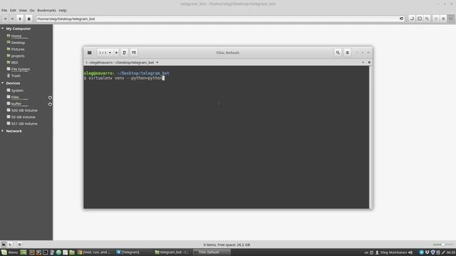 Python Telegram Bot Tutorial: Demo and Intro # 1 | Python project смотреть онлайн