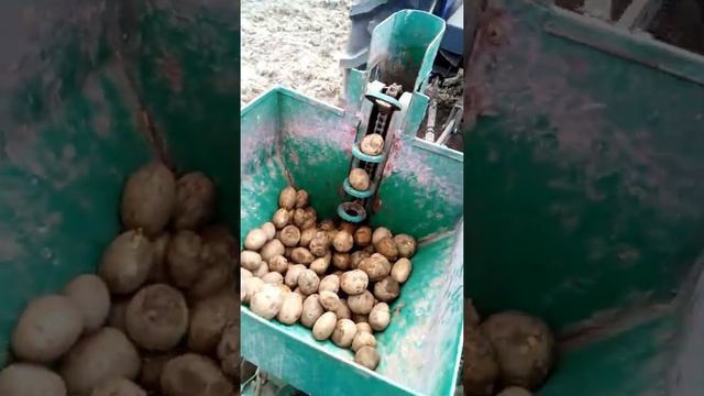 15 апреля 2018 г.Фотон ловол и картофелесажалка КСН 2м смотреть онлайн