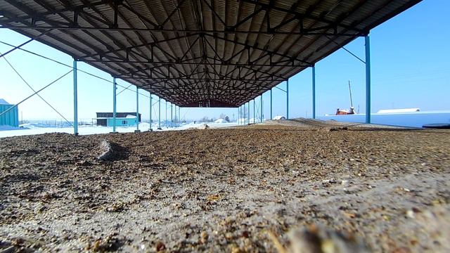 Воробьи на ферме смотреть онлайн