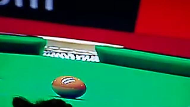 Киса просматривает снукер смотреть онлайн