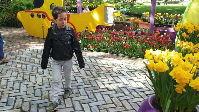 Keukenhof Tulip Fields,Holland | Keukenhof Gardens Lisse,The Netherlands | Keukenhof Spring Series