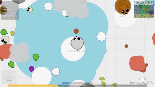 НОВОЕ ОБНОВЛЕНИЕ В МОПИО И ЭВОЛЮЦИЯ ЖИВОТНЫХ MOPE IO