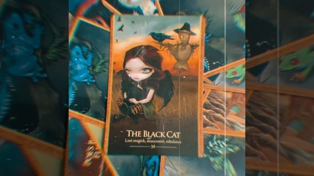 Learn Oracle Cards - Card 30 The Black Cat Oracle Of The Shapeshifters смотреть онлайн