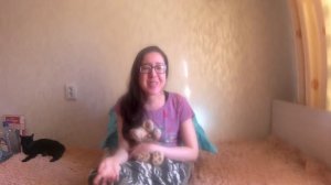 21.Опасна ли киста в головном мозге?