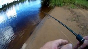 Рыбачу с сыном на реке Молога. Рыбалка в Вологодской области 2020