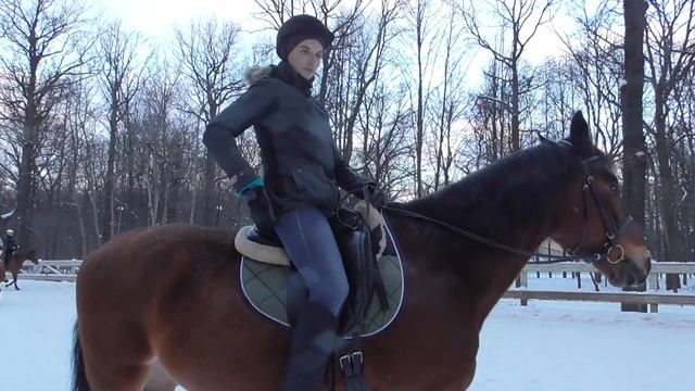 Упражнения для глубокой посадки. Верховая езда. Посадка всадника. смотреть онлайн