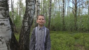 Стихотворение "Белая береза. Сергей Васильев".