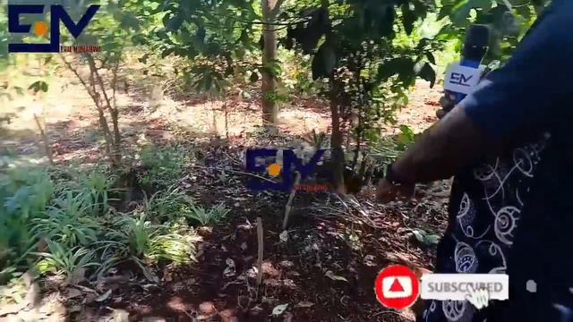 THIS IS WHAT HAPPENED AT BRIAN CHIRA'S GRAVESIDE BEFORE BEING LAID TO REST"......💔💔 смотреть онлайн