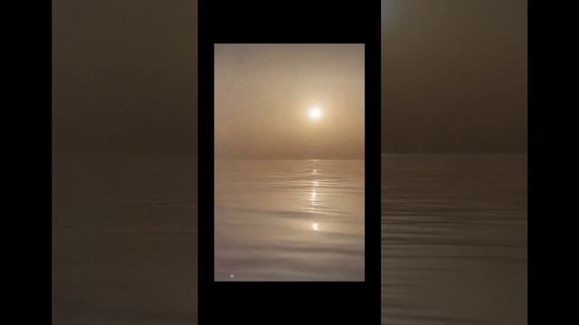 Обои на телефон ✨ смотреть онлайн