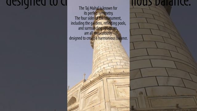 Taj Mahal Facts! Bet You Can't Guess The Last One!!! #randomfacts