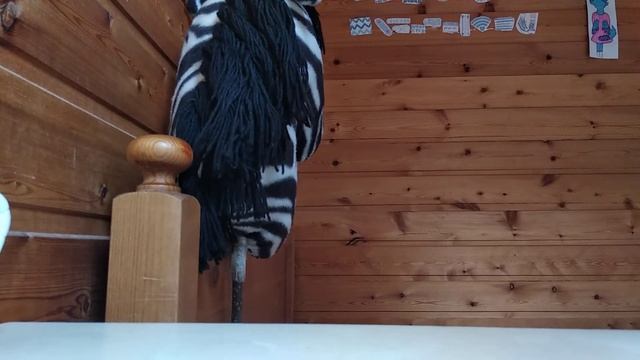 Причёски для лошади хоббихорс {hobby horsing Россия} смотреть онлайн
