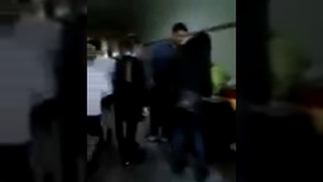 Живой лемур в Новосибирске смотреть онлайн