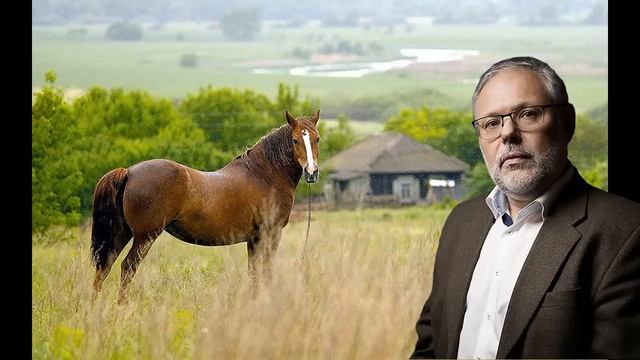 Михаил Хазин. Эта его фраза мне очень легла... смотреть онлайн