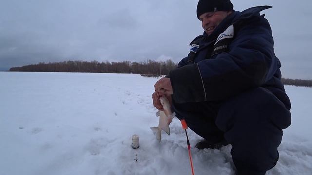 ЛЕЩ НАЙДЕН, РЕКОРД ПОБИТ, ЧЕТЫРЕ ШТУКИ С КОМБАЙНА! ЗИМНЯЯ РЫБАЛКА НА КОМБАЙНЫ 2023. смотреть онлайн