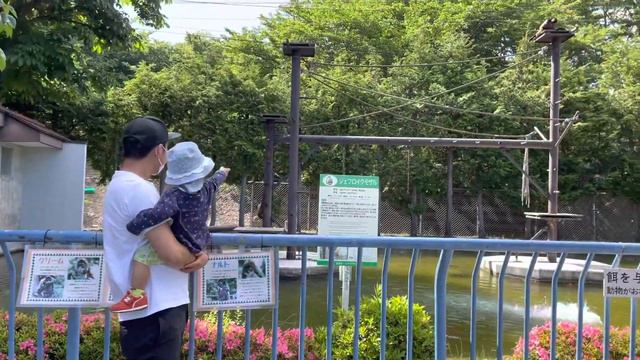 ZOO IN JAPAN++English Japanese zoo animals translation || Filipino Japanese Family Vlog! смотреть онлайн