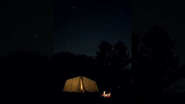 палатка в лесу смотреть онлайн