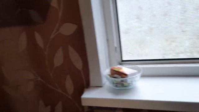 САМЫЙ ПОЛЕЗНЫЙ молочный продукт //про СЫР не каждый поймет// МЕТЛА спешит на помощь 😆😆😆 смотреть онлайн