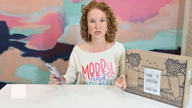*NEW* Kid's Subscription Boxes + a Grove Co alternative + Jesse Tree Advent for the Family смотреть онлайн