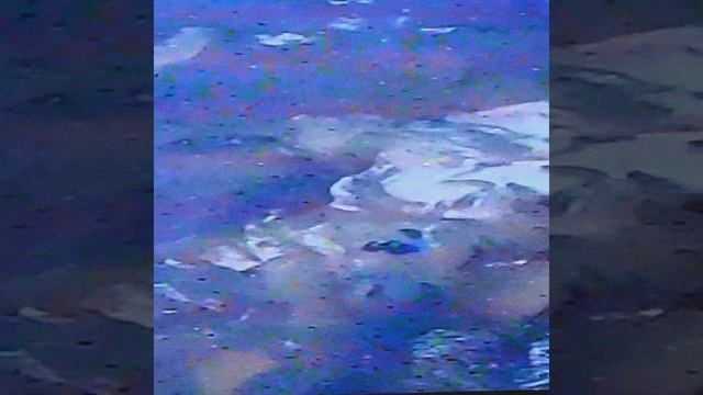 Скафандреки