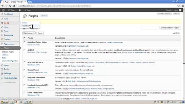 Inserindo um arquivo PDF no post do blog Wordpress com o plugin Embed PDF смотреть онлайн