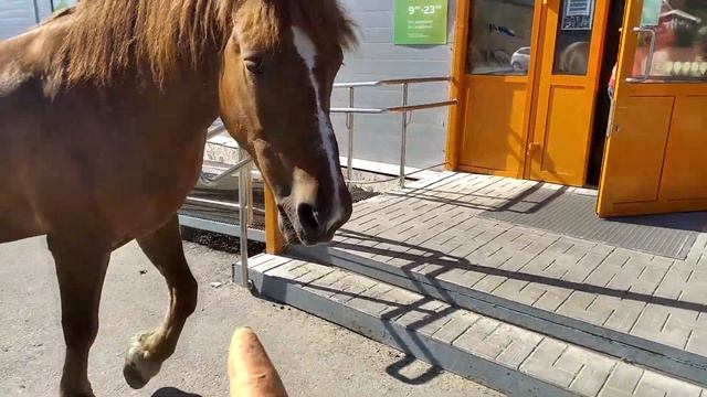 Самый экономный вездеход смотреть онлайн