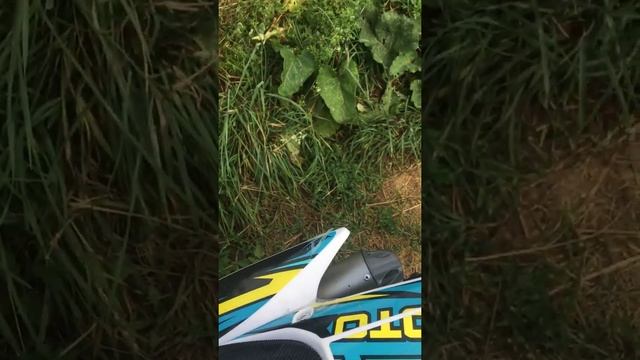 Питбайк Regulmoto seven 125E 17/14 смотреть онлайн