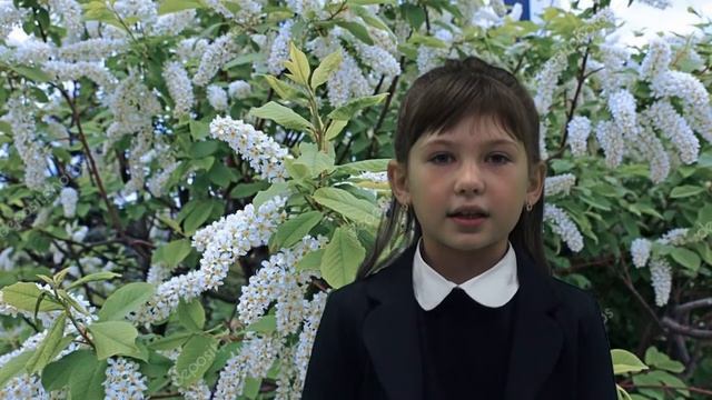 Стихотворение Сергея Есенина "Черёмуха" в исполнении ученицы 1А класса Ободниковой Миланы смотреть онлайн
