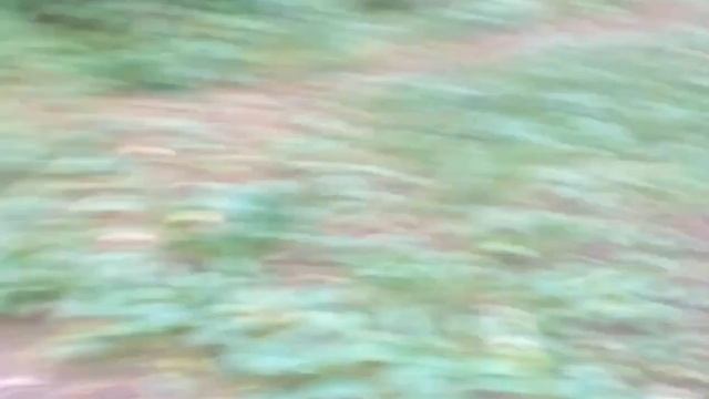 Гора Голгофа. Астрополяна. "Заброшенный" мангал. Прайс Лист и художник. Lithuania and Lithuanians. смотреть онлайн