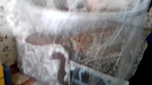 Кастинговая сеть с большим алюминиевым кольцом из лески.