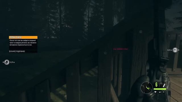 Сычи сидят, болтают, охотятся. смотреть онлайн