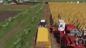 10 МИЛЛИОНОВ ЧЕЛЕНДЖ в FARMING SIMULATOR 19! И вот что получилось... | Село Ягодное #5