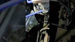 Замена УМЗ 4216 на ЗМЗ 405 Евро 4 ГАЗель Бизнес