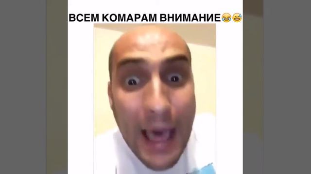 Каха про комара смотреть онлайн