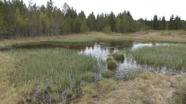 Кодино мой гештальт , часть четвертая смотреть онлайн
