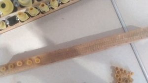 Выводим маток для себя. Мисочки, матрица, проблемы!!!