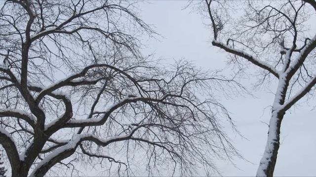 Canon PowerShot SX130 IS photo sample смотреть онлайн